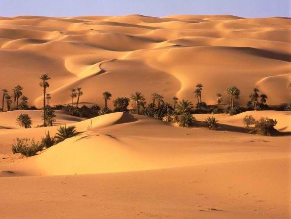 مکانهای دیدنی شهر کرمان را در تیجور ببینید، قسمت3 دشت لوت