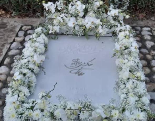 محمدرضا شجریان محمدرضا شجریان