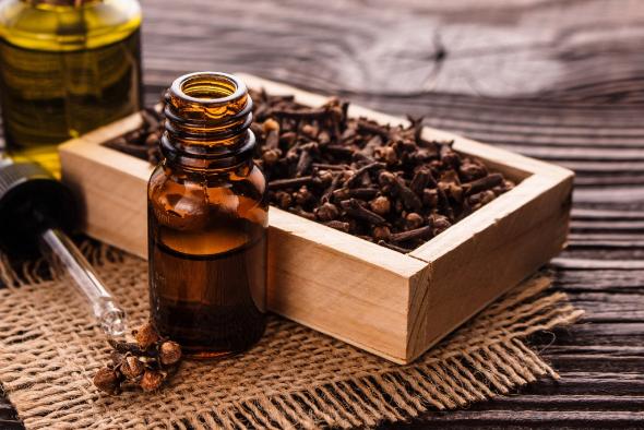 درمان دندان درد با روغن میخک درمان خانگی درد دندان