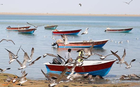 بندر گواتر بندر گواتر چابهار