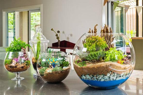 سبزه برای عید کاشت سبزه برای عید در تنگ ماهی