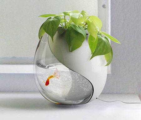 سبزه عید سبزه عید