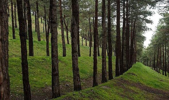 برای سیزده بدر این مکانهای زیبا را در تهران از دست ندهید پارک جنگلی کوهسار