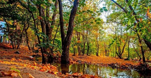 برای سیزده بدر این مکانهای زیبا را در تهران از دست ندهید سیزده بدر در تهران پارک جنگلی چیتگر