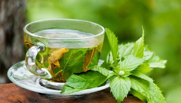 طریقه مصرف چای سبز