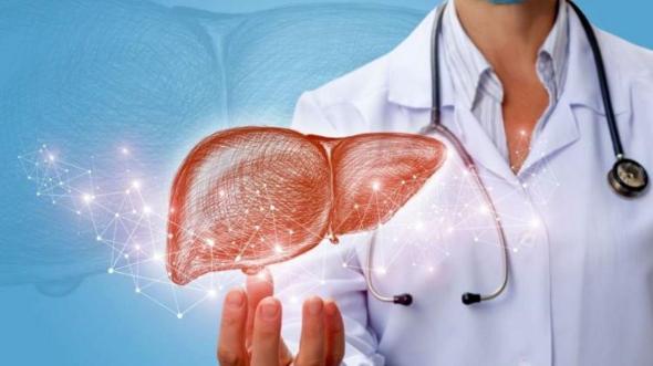 فواید حجامت در درمان بیماری + چه کسانی مجاز به حجامت هستند؟ حجامت در درمان بیماری