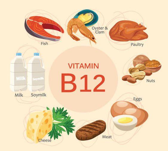  ویتامین ب12