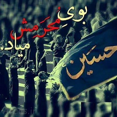 50 عکس پروفایل محرم به همراه عکس نوشتههای محرمی عکس های محرم