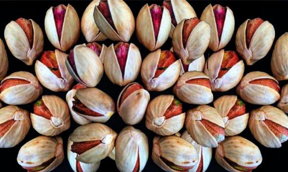 پسته کله قوچی پسته کله قوچی