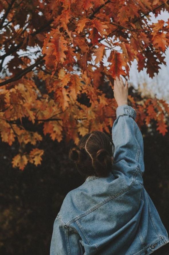 عکس دختر در پاییز از پشت سر