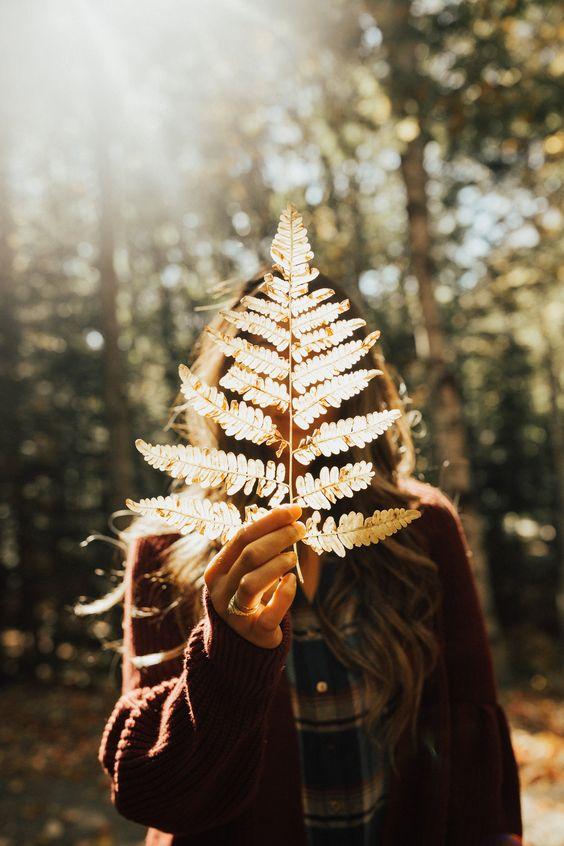 عکس از پاییز عکس پاییزی