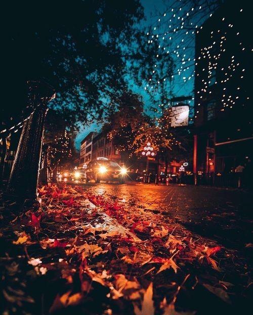 عکس پاییز بارانی عکس پاییز بارانی
