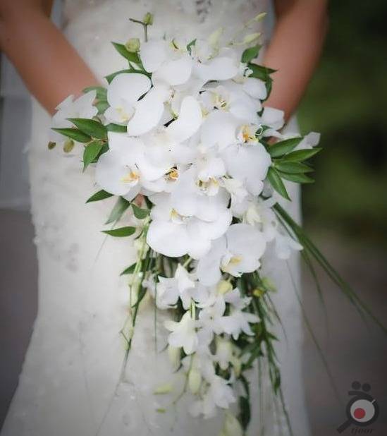 دسته گل عروس زیبا با گل ارکیده سفید 