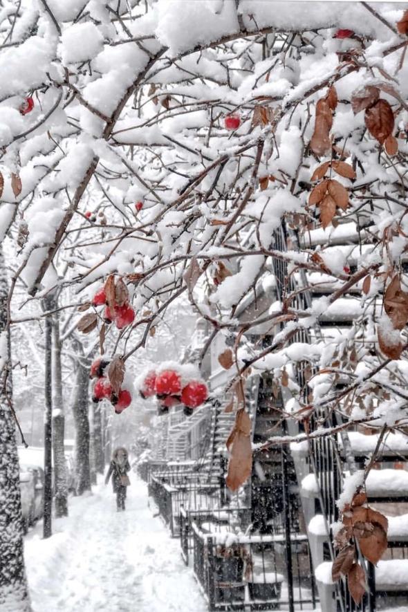 عکس زمستانی فانتزی