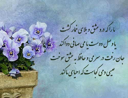 بزرگداشت حافظ شیرازی به همراه اشعار عاشقانه و عارفانه حافظ - Tjoor