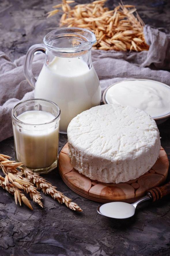 طرز تهیه پنیر خانگی طرز تهیه پنیر خانگی