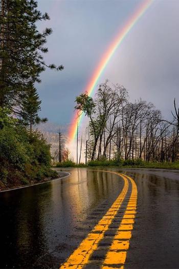  عکس بک گراند جدید