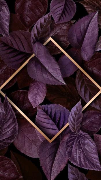  عکس بک گراند جدید