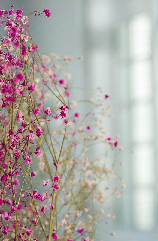 عکس برای بک گراند عکس برای بک گراند