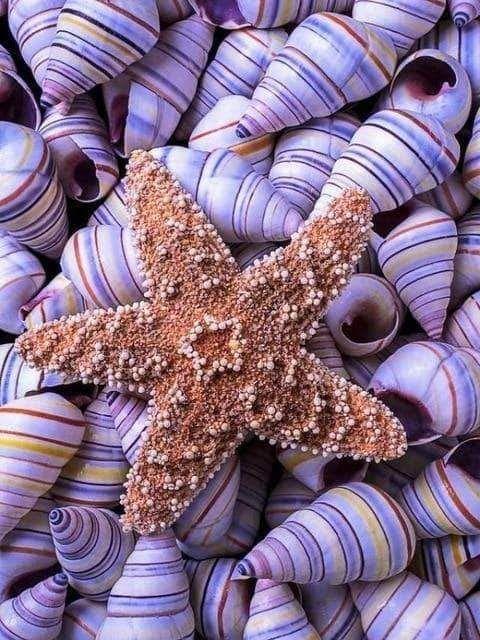 عکس تصویر زمینه زیبا روشن عکس تصویر زمینه زیبا