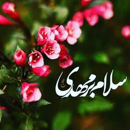 عکس تبریک نیمه شعبان عکس تبریک نیمه شعبان