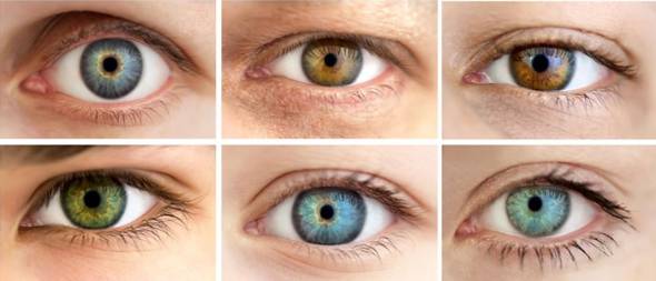 ژن تعیین رنگ چشم