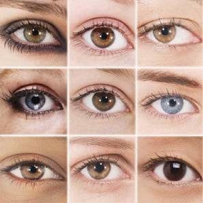 انواع مدل‌های مختلف چشم