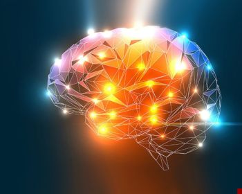 هوش هشت گانه