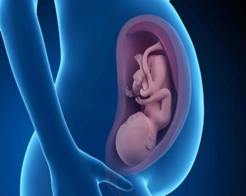 تشخیص بارداری با این علائم علائم بارداری