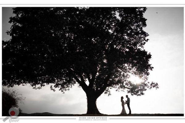 آفر ویژه قرارداد آفر ویژه قرارداد