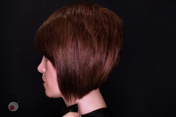 تخفیف ویژه تخفیف ویژه