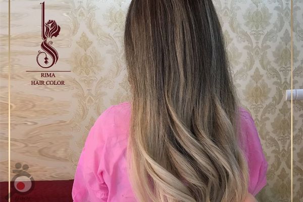 تخفیف ویژه یلدایی فقط به مدت یک هفته