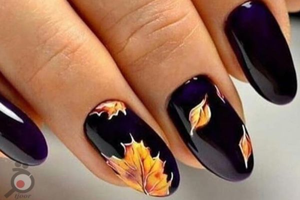 تخفیف بمناسبت افتتاحیه شعبه دوم