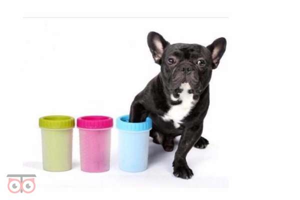 دست شور و پاشور سگ