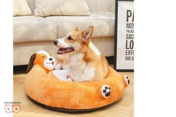 تخفیف جای خواب سگ