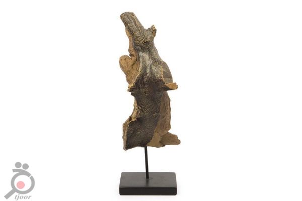 تخفیفات پاییزی تا شب یلدا درسا چرم