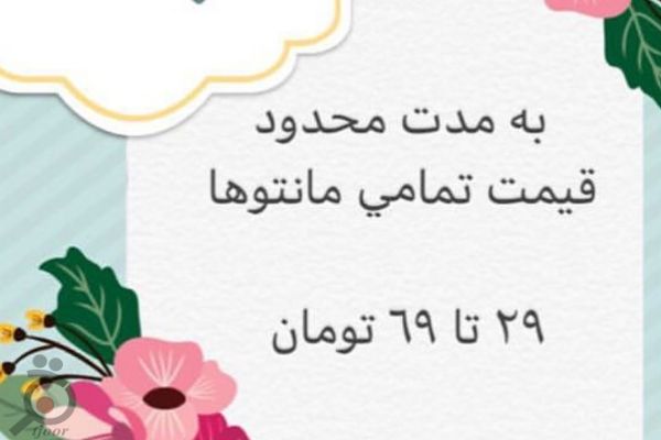 تخفیفات ویژه مانتو پگاه