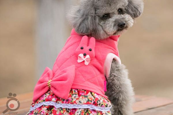 تخفیف بر روی انواع پوشاک موجود