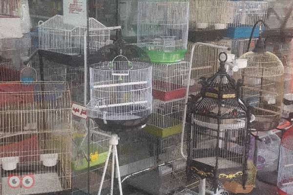 فروش ویژه انواع قفس پرندگان زینتی