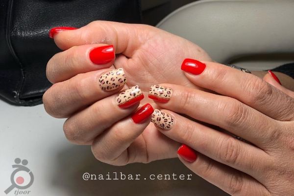 تخفیف ویژه انواع کاشت و ترمیم تخفیف ویژه انواع کاشت و ترمیم