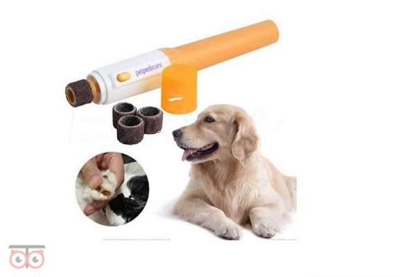 فروش ملزومات حیوانات (سگ ، گربه، جوندگان ...)