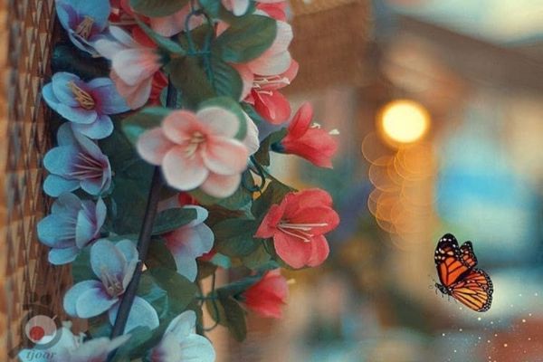 تخفیف خدمات ماساژ و اسپا