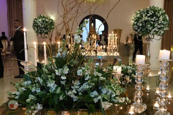 آفر استثنائی باغ رویایی