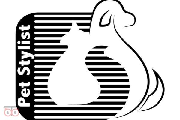 تخفیف آرایشگاه حیوانات خانگی تخفیف آرایشگاه حیوانات خانگی