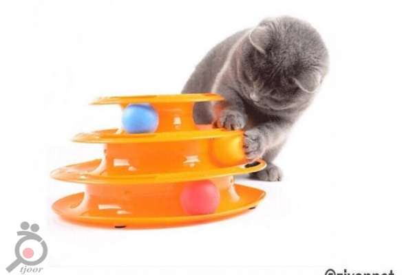 تخفیف ویژه خرید اینترنتی پت شاپ ژیوان ویژه مشتریان شهرستانی