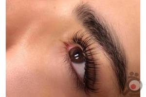 تخفیف ویژه اکستنشن مژه تخفیف ویژه اکستنشن مژه