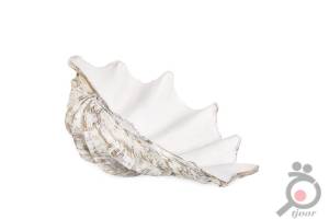 تخفیف روزانه درسا چرم تخفیف روزانه درسا چرم