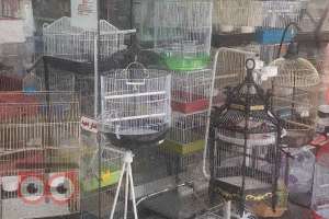فروش ویژه انواع قفس پرندگان زینتی