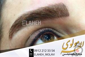 تخفیف ویژه کلاس آموزشی و خدمات تخفیف ویژه کلاس آموزشی و خدمات