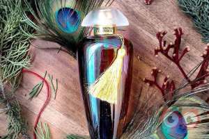 فروش ویژه فروش ویژه